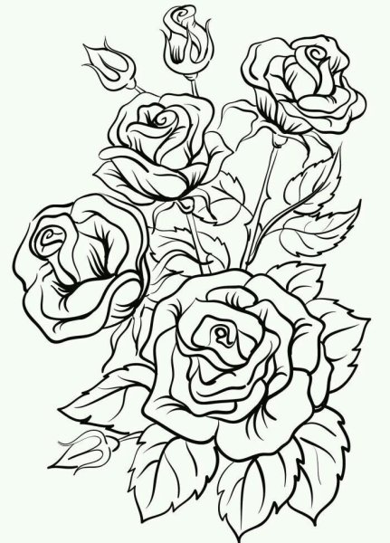 Контурные рисунки цветов