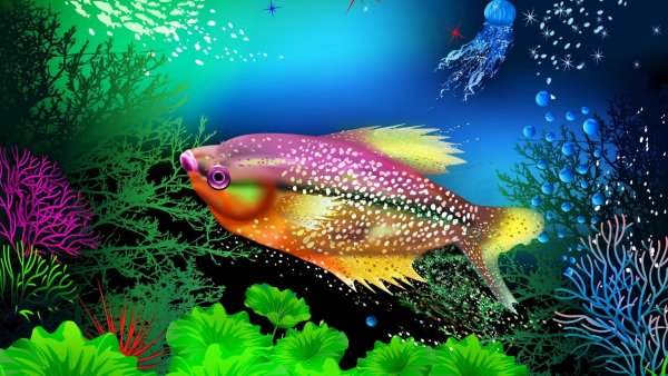 Рыбка Живая красивая