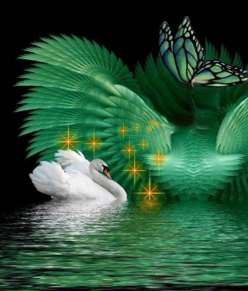 Очень красивые лебеди