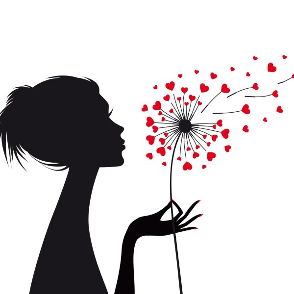 Силуэт Барби