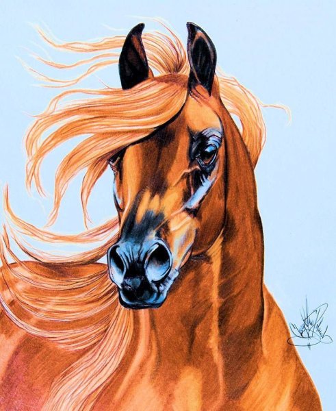 Цветные лошадки