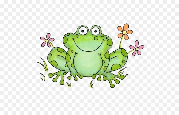 Красивая Сказочная лягушка