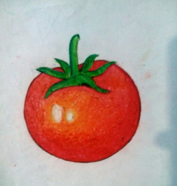 Помидор цветными карандашами