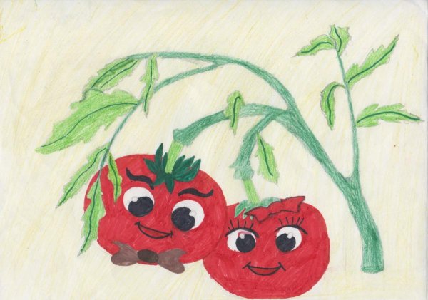 Помидор для детей