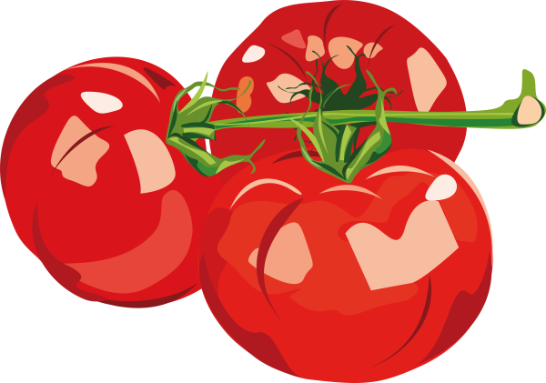 Томат акварель