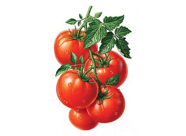 Веселый помидор