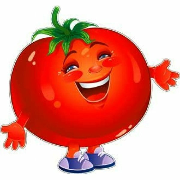 Томат вектор