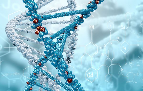 ДНК молекулярная биология