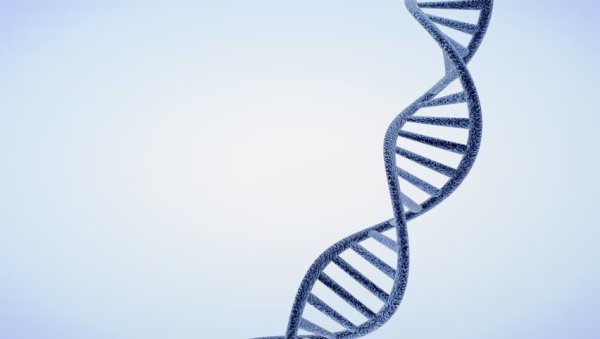 ДНК на сером фоне