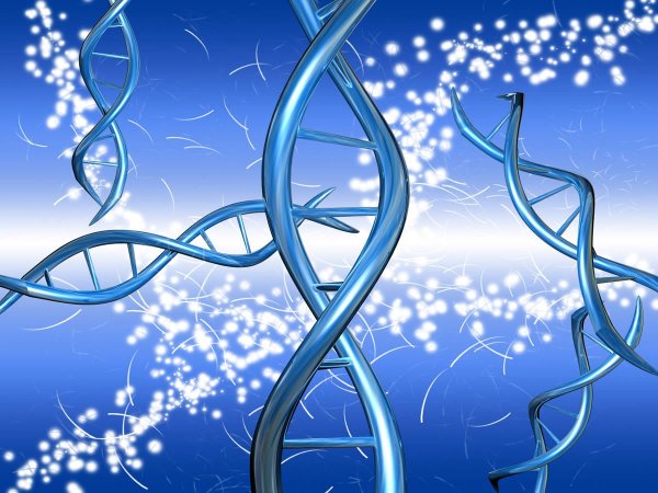 ДНК молекулярная биология