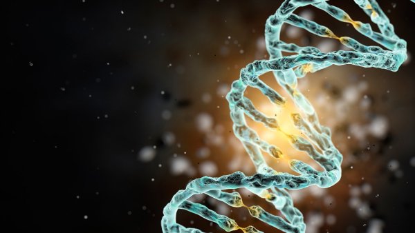 Спираль ДНК