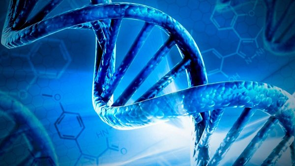 ДНК молекулярная биология