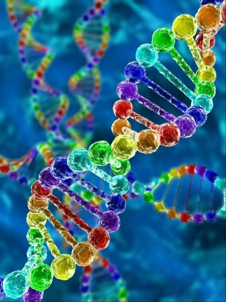 ДНК красиво