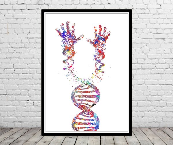 Молекула ДНК человека