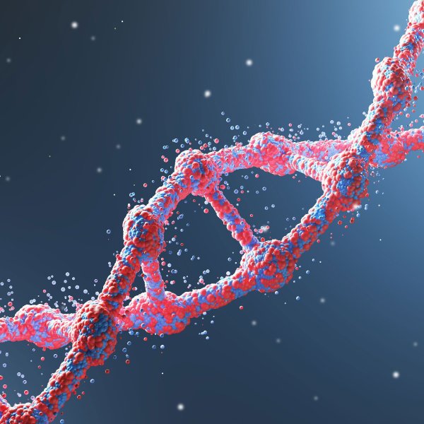 Живая клетка ДНК