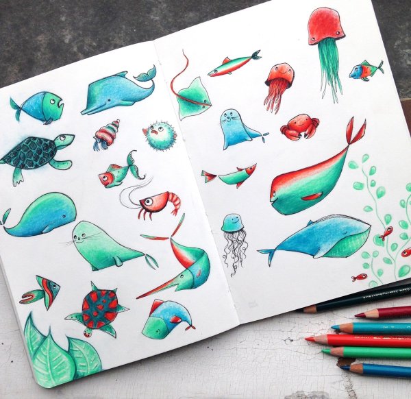 Лёгкие РИСУНКИДЛ скечбука