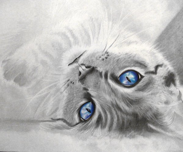 Картины Яцек Йерка сюрреализм