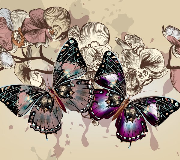 Олимпиус Инферно бабочка