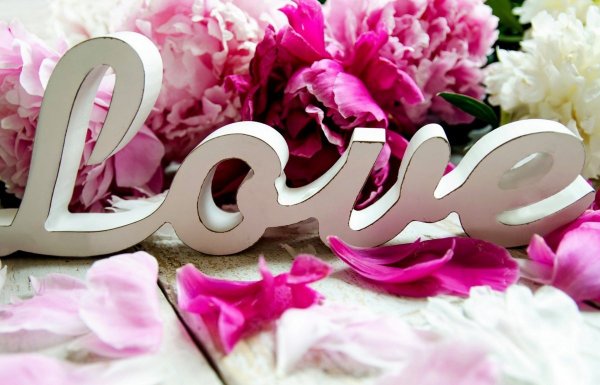 Афоризмы про свадьбу