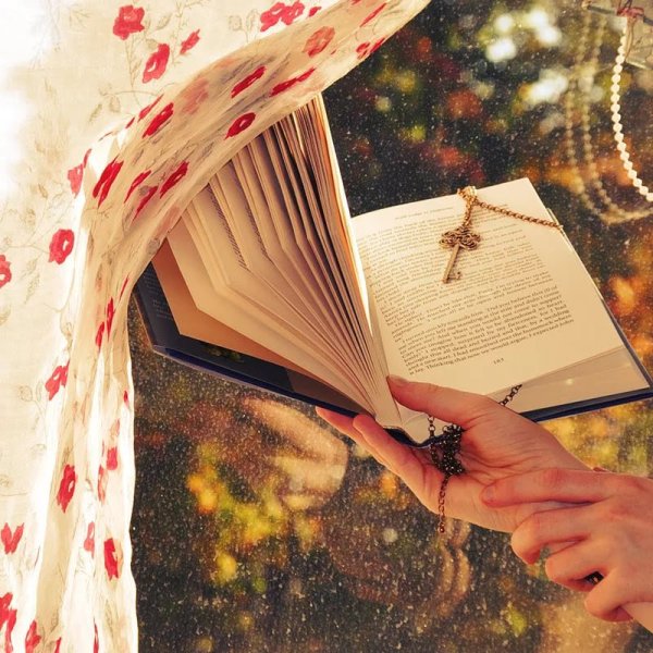 Нарисованная девушка с книгой