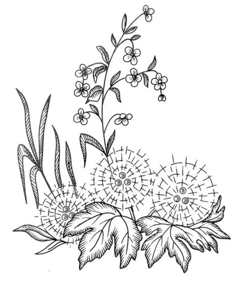 Цветочные мотивы для вышивки гладью