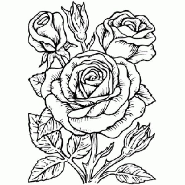 Контурные рисунки цветов