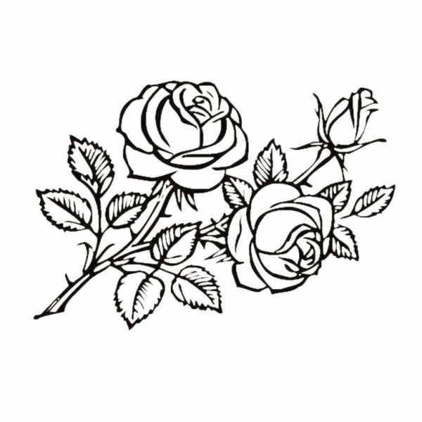 Эскизы для вышивки гладью