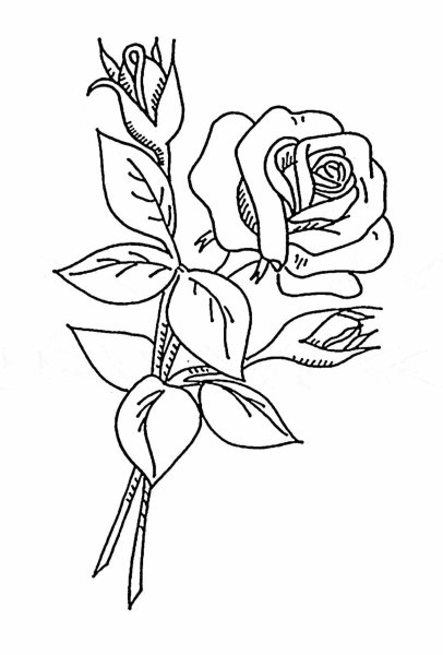 Узоры для выжигания по дереву