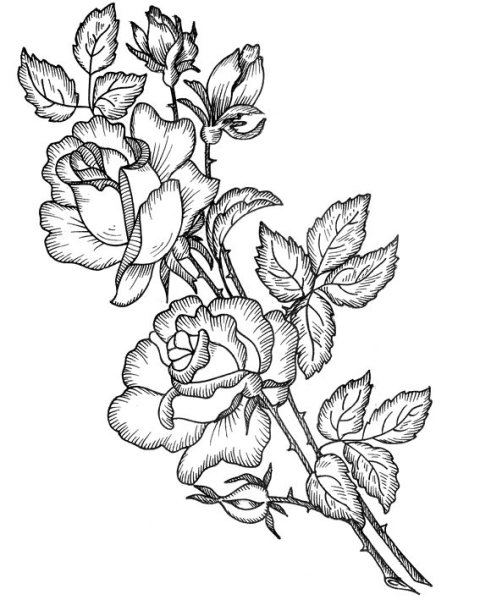 Узоры для выжигания по дереву