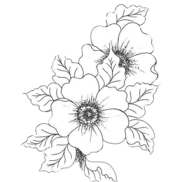 Цветы для выжигания по дереву