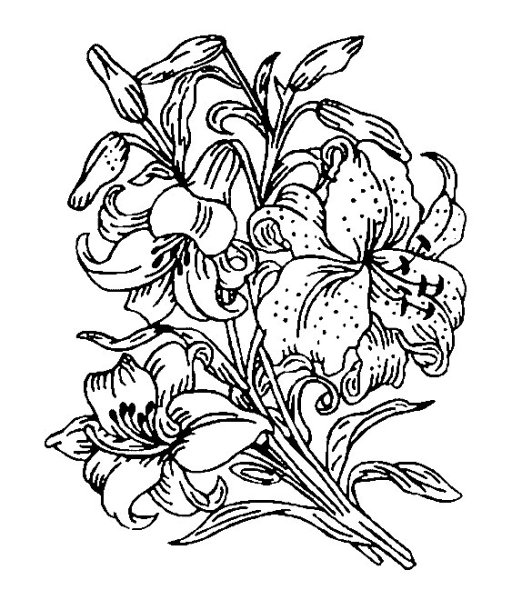 Трафареты для выжигания по дереву цветы