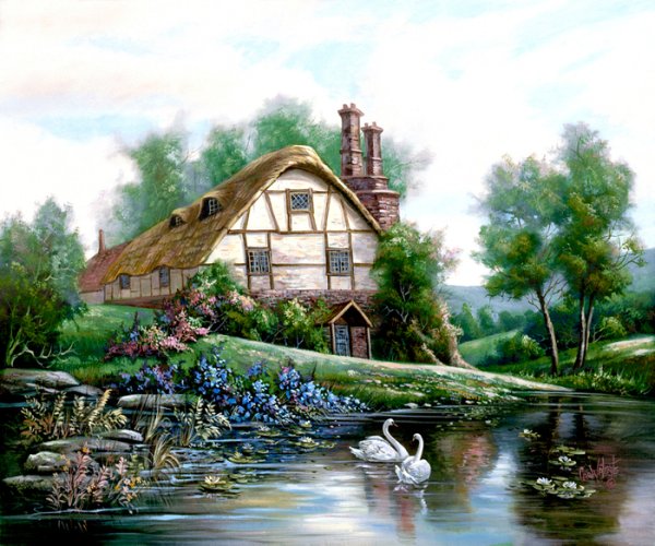 Даррел Буш Darrell Bush