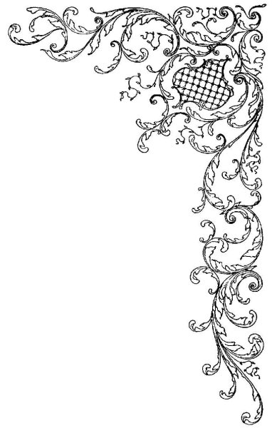 Литературный орнамент