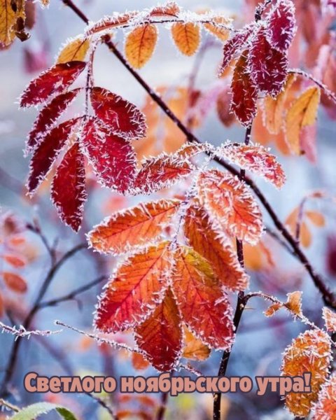 Ноябрь природа