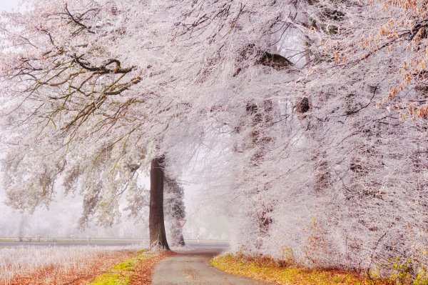 Поздняя осень