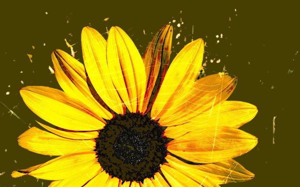 Рисунки жёлтого цвета