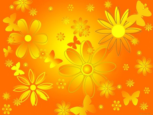 Обои на рабочий стол тюльпаны