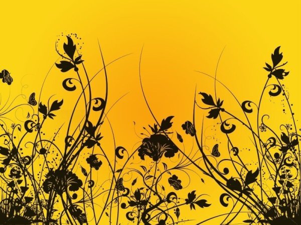 Жёлтый фон Эстетика