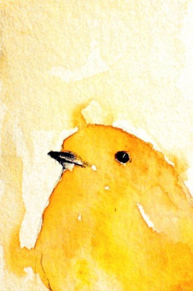 Обои Твитти