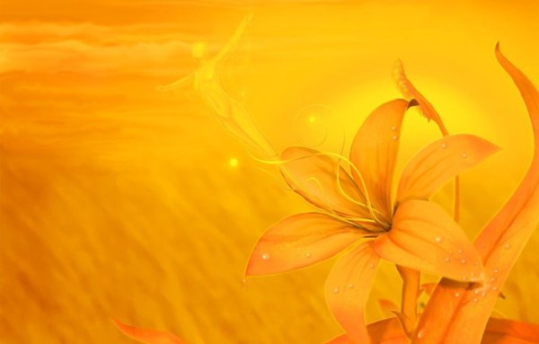 Фон бабочки