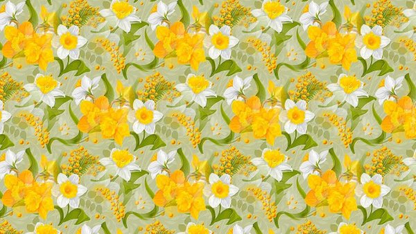 Букет разноцветных тюльпанов