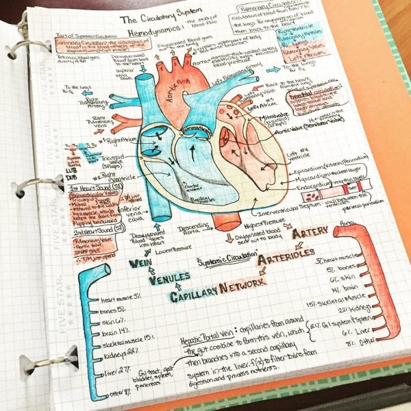 Оформление заголовка в конспекте