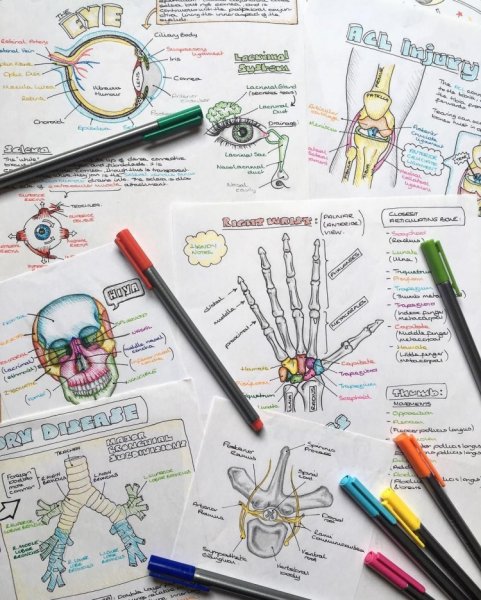 Тетрадь для лекций