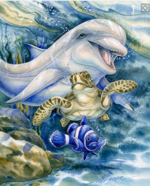 Морские иллюстрации