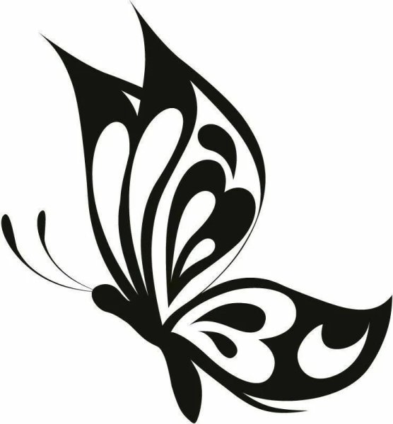 Трафарет бабочки на стену