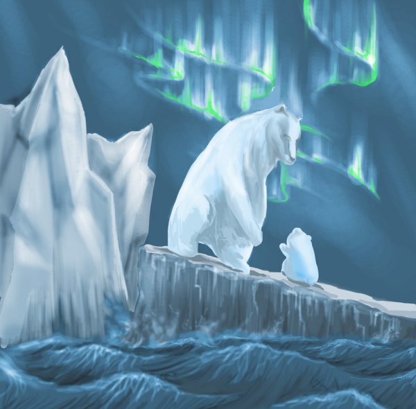 Северный полюс сияние белый медведь