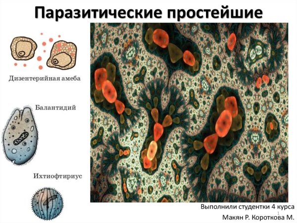 Паразетические простейшие"
