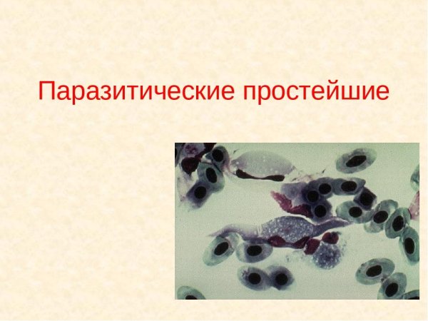 Паразитические простейшие 7 класс биология