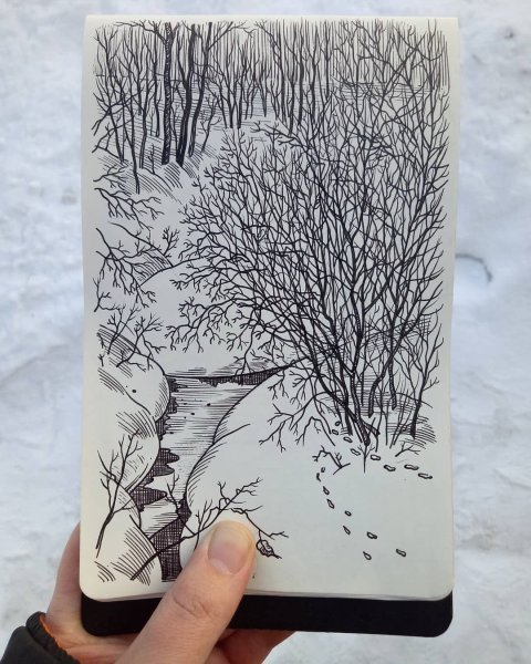 Рисунки для Скейтс бука