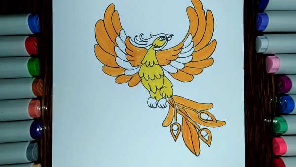 Жар птица поэтапно